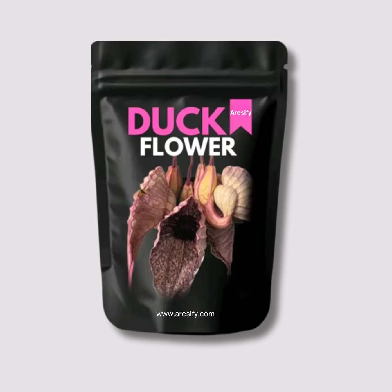 Aresify Duck Flower