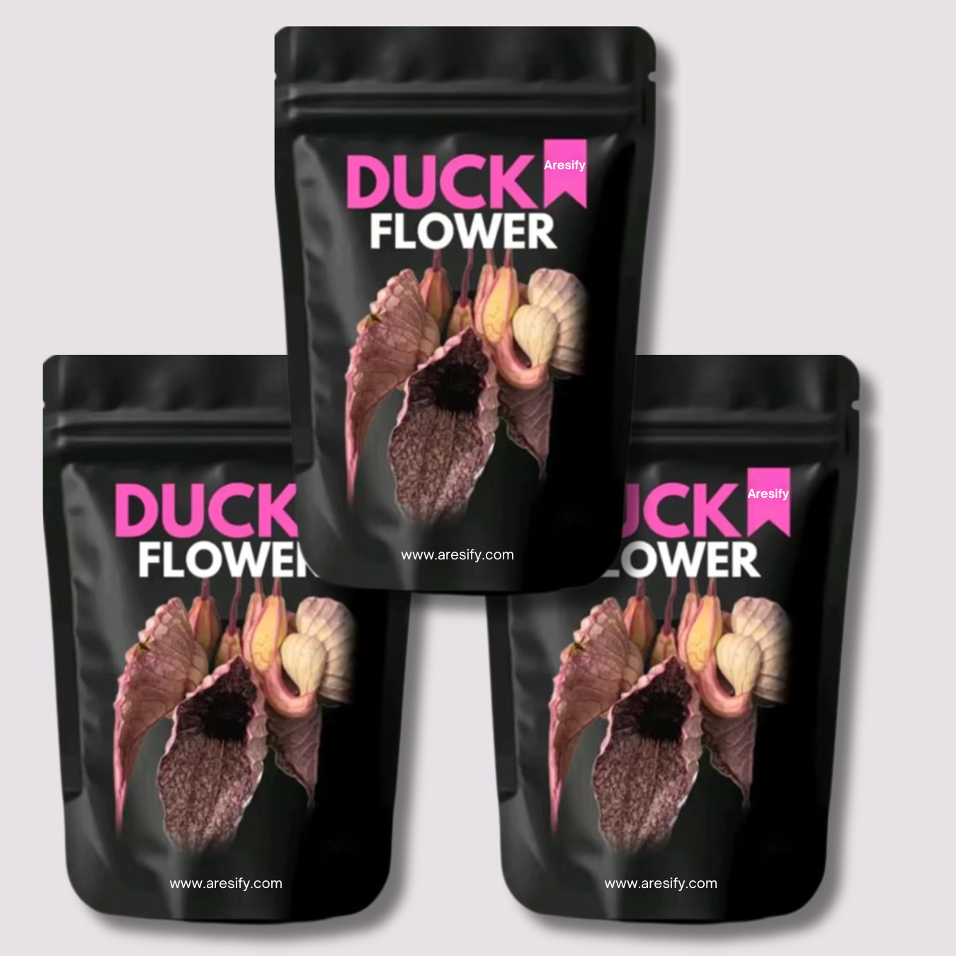 Aresify Duck Flower